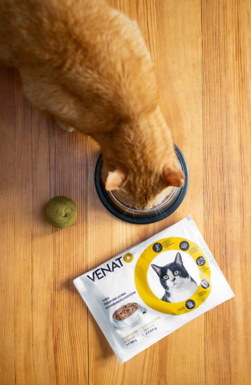 Zdjęcie WhatsApp 2025-08-04 o 15.35.01_c337dcc1.jpg